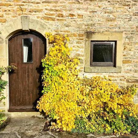 Lovelady Shield Cottages Venkovský dům Alston